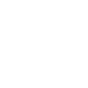FES