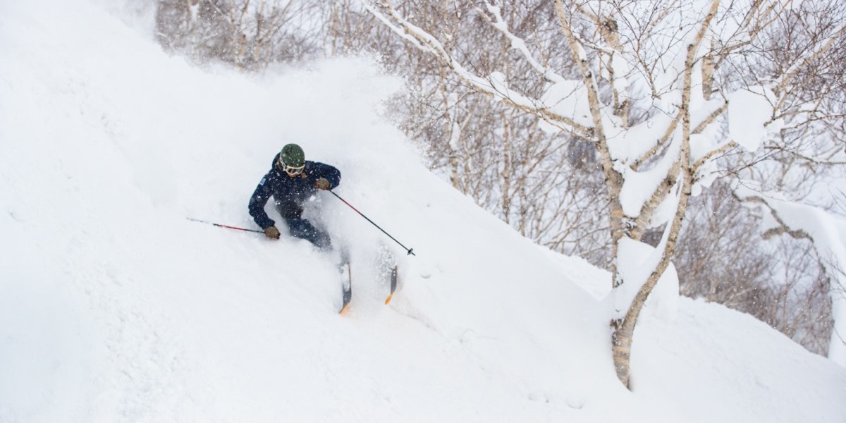 Powder skiing in Niseko