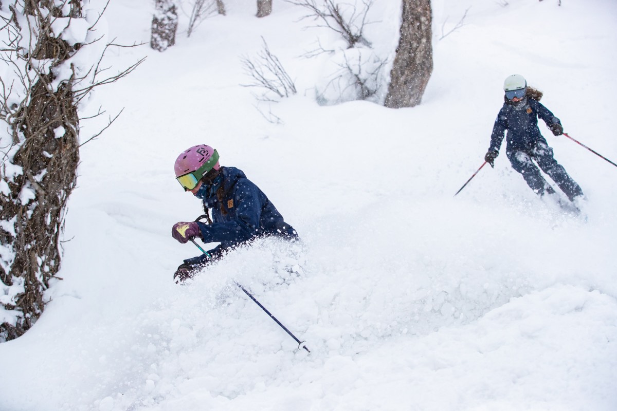 Skiing powder together in the trees